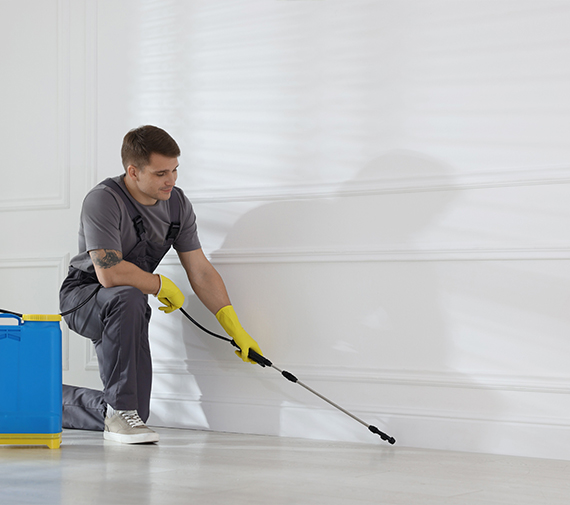 Pest control worker spraying insecticide
